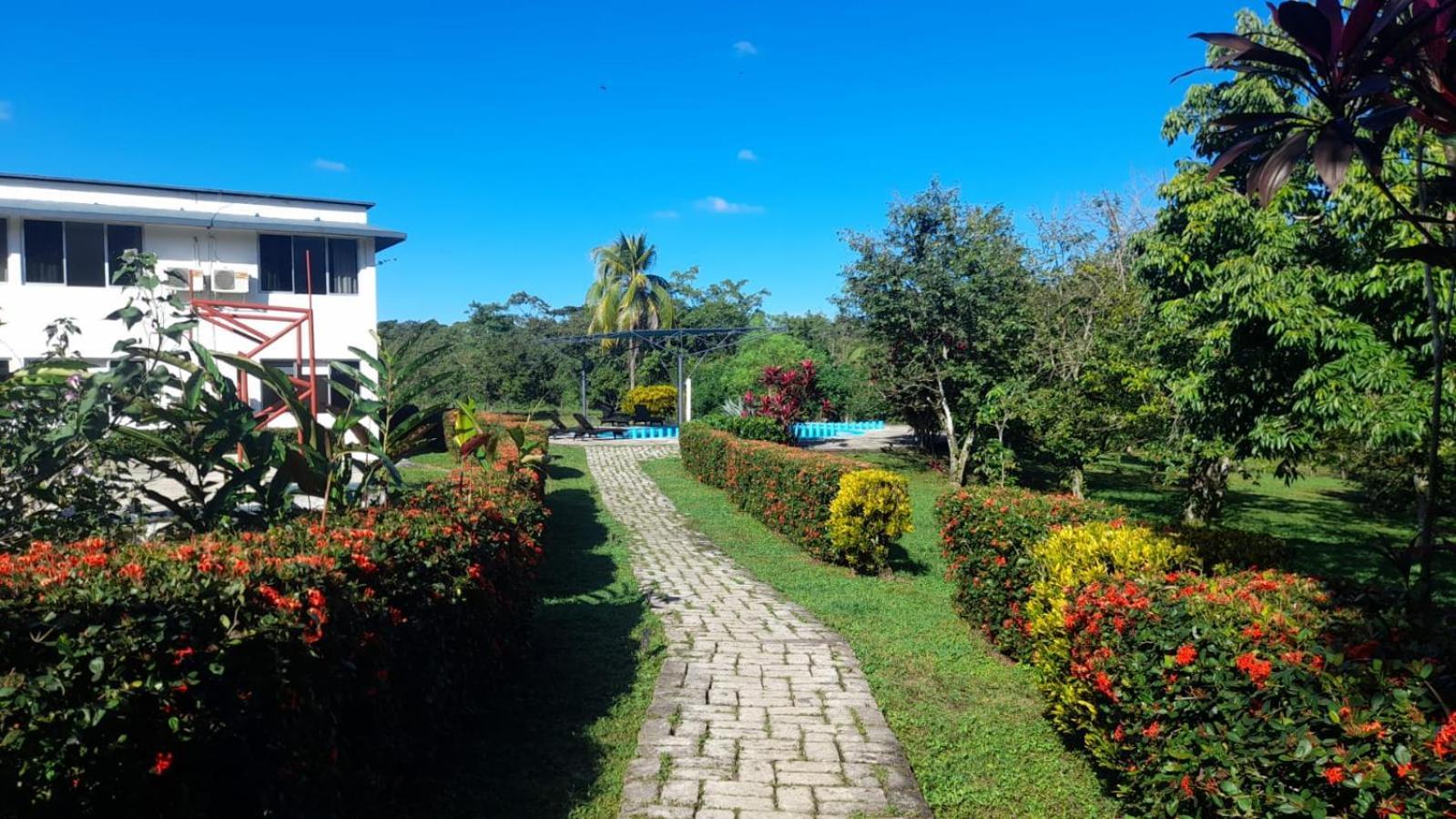 Hotel Los Leones Palenque Exterior foto